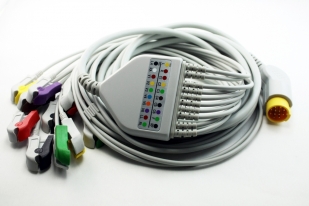 10CM10601 ECG Cable 10 lead monoblock