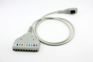 DN10/11803 Cavo base Holter ECG 10 vie