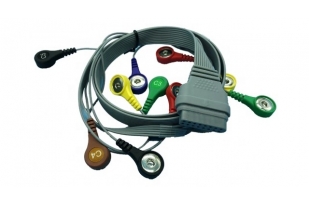 10SM13603 Cable de paciente ECG 10 vías