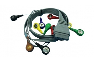 10SM13603 Diagnose EKG Kabel 10 Adriges