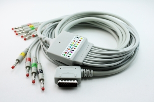 10BM11001 ECG Cable 10 lead monoblock